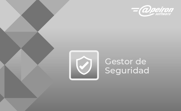 Gestor Seguridad